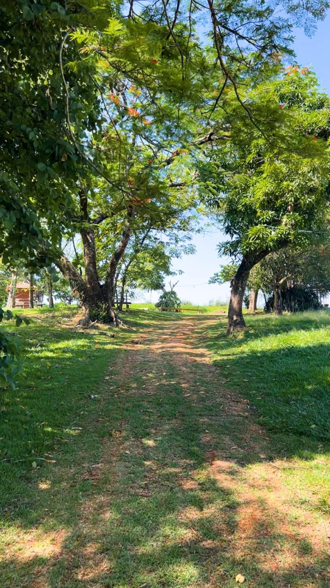 Hotel Fazenda Ararita Порту-Фелис Экстерьер фото